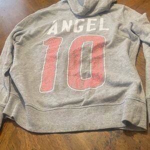 VS Pink Hoodie
